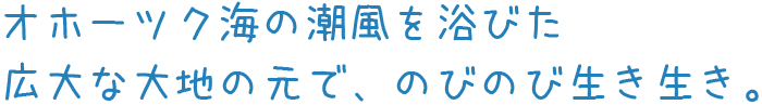 オホーツク海の潮風を浴びた広大な大地の元で、のびのび生き生き。