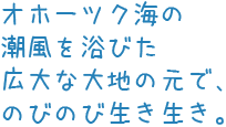 オホーツク海の潮風を浴びた広大な大地の元で、のびのび生き生き。
